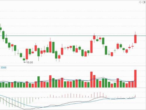 国产黄视,探寻中国视觉艺术的独特魅力  第3张 国产黄视,探寻中国视觉艺术的独特魅力  第3张